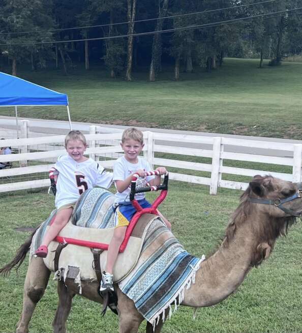 Camel Rides