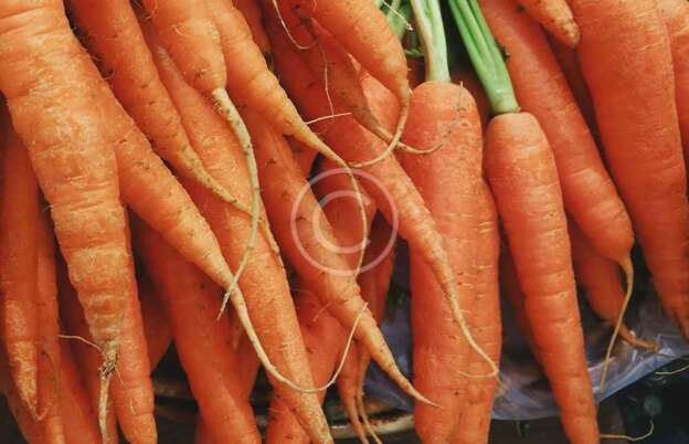 Carrots